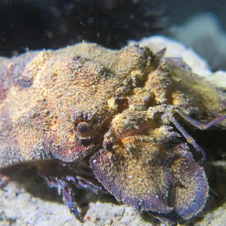 Apartamento H49 Bari