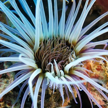 Apartamento H49 Bari