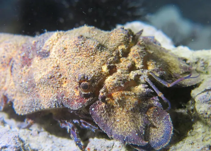 Apartamento H49 Bari