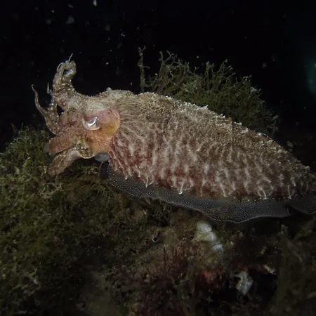 Appartement H49 Bari